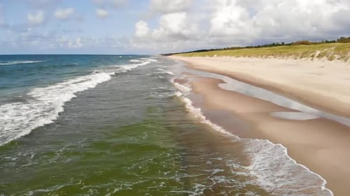 VUE AÉRIENNE : Soulèvement lent dans les airs pour révéler la plage et la forêt près de la mer