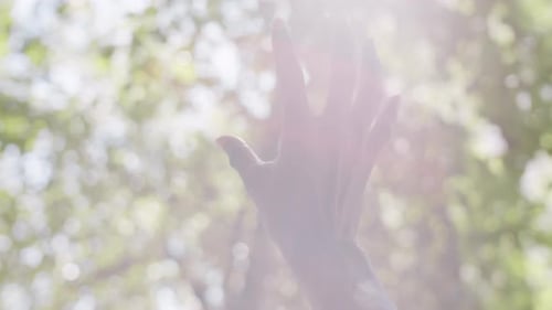 Hand of Black Man Enjoying Sunshine in Park