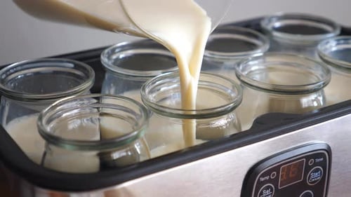 Making Homemade Vegan Yogurt From Soy Milk In Yogurt Maker.