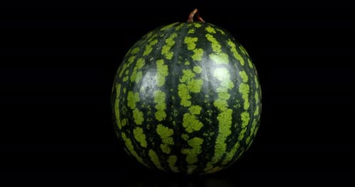 Eine reife Wassermelone rotiert langsam