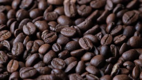 Coffee Beans Rotate Slowly