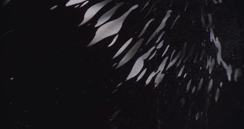 Ferromagnetic shapes in black before white background.