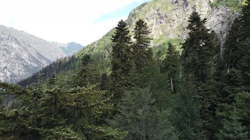 Aerial View of Mountain Landscape in Summertime