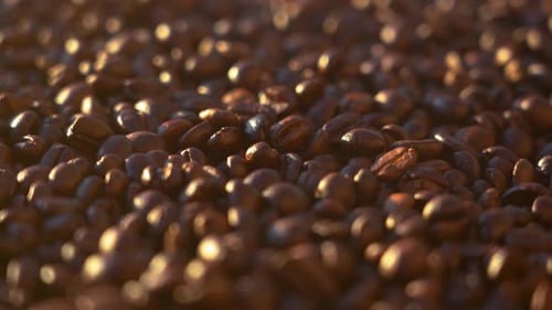 Preparing coffee