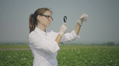 Woman Scientist Examining Worm in Agricultural Field