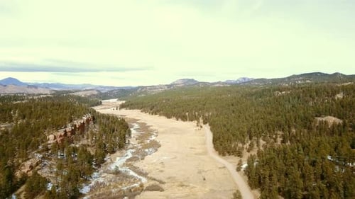 Majestic Aerial View of Forest and Mountains