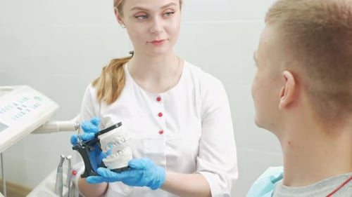 Woman Explains Dental Model to Patient in Clinic