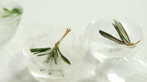 Ice Cubes with Herbs on White Background