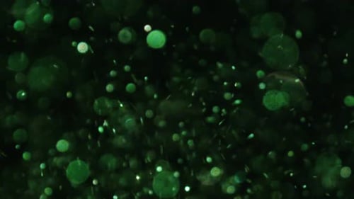 Abstract Floating Glowing Green Orbs on Black