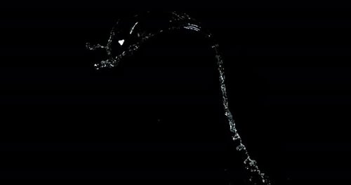 Elegant Water Jet Curve Against Black Backdrop