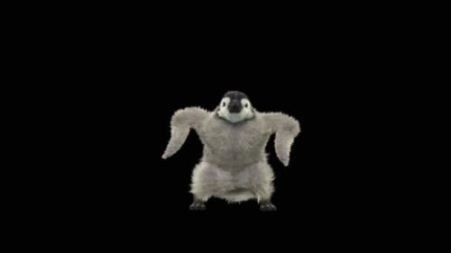 Penguin Dancing HD