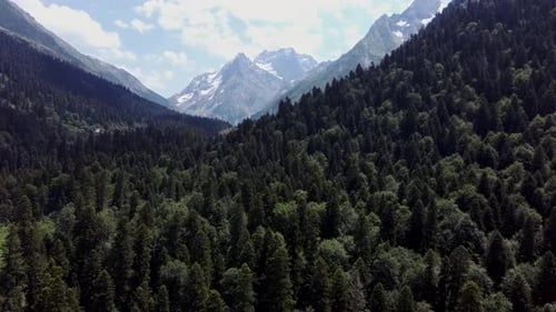 Beautiful Mountain Landscape in Wooded Area in Summertime