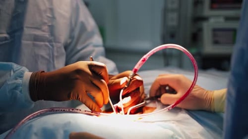 Surgeons in hospital operation theater