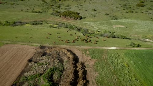 Aerial view of grass fields surrounded by vegetation and hills.