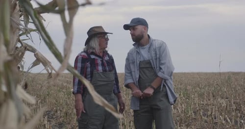 Farmers Talking in Field of Harvested Crops