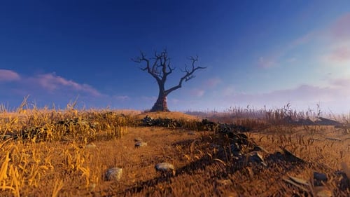 Lonely Old Tree In A Clearing