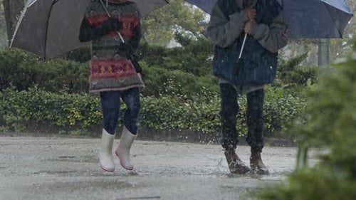 Boy and a girl jumping with umbrellas in the pouring rain in slow motion