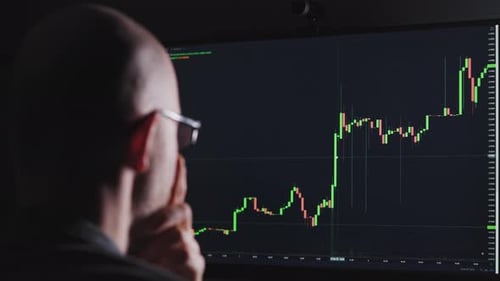 An Online Trader Works on the Stock Market