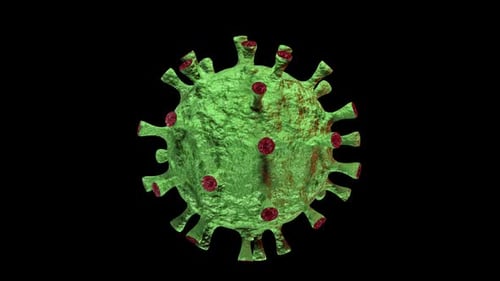 Corona Virus infective