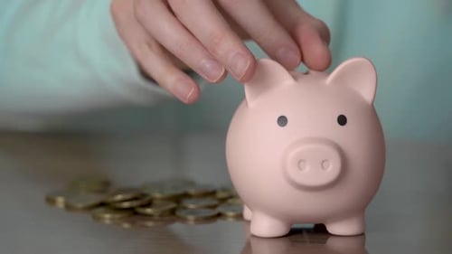 Female hand puts coins in a piggy bank. Money saving concept