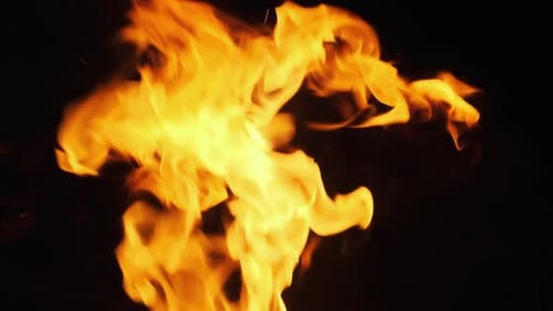 Bonfire Burning at Night. Flames of Campfire at Nature. Slow Motion 240 Fps