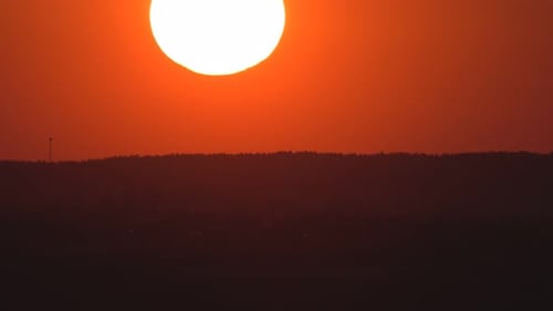 Brilliant Sunset Over the Silhouette of a Tree Line