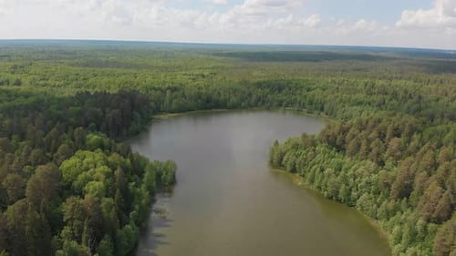 Landscape of a Green Forest and Lake Surrounded By It