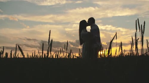 Silhouetted Couple Embrace in Field at Sunset