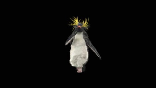 Penguin Dancing HD