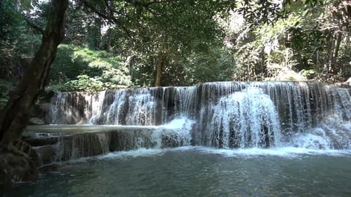 Tropical Waterfall Flowing in Verdant Forest