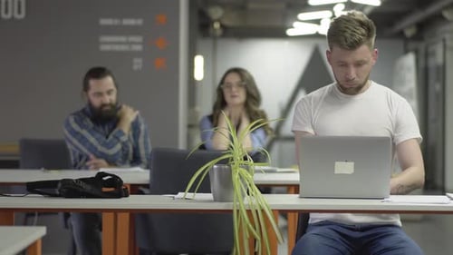 Office Workers Using Laptops at Desks in Modern Office