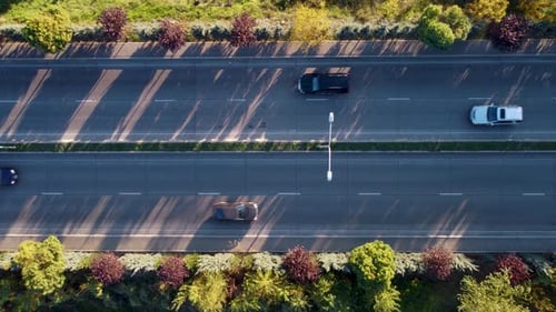 Bäume, Schatten und Verkehr auf der Autobahn bei Sonnenuntergang