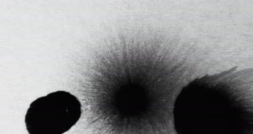 Black Ink Drops Spreading on White Background