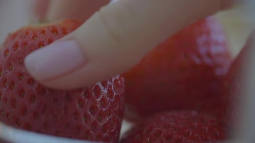 Macro Shot of Pile of Fresh Red Strawberries