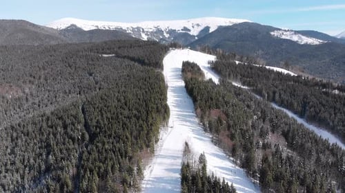 Aerial Ski Slopes with Skiers and Ski Lifts on Ski Resort. Snowy Mountain Forest