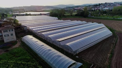 Aerial View of Greenhouses at Sunrise