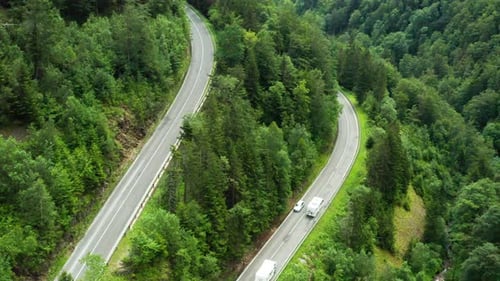 Mountain Road or Curved Serpentine in the Forest with Cars Traffic and High Green Trees