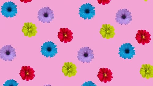 Bright Floral Pattern Animated Background Loop