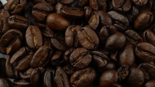 coffee beans close up