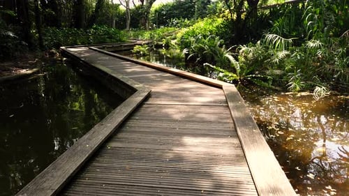 Wooden Walking Bridge or Footbridge Among the River and Rainforest