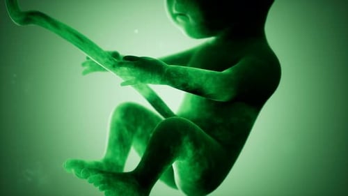 Animation médicale 3D d'un foetus humain