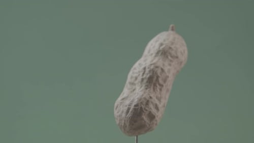 Peanut Rotating with Loop on Green Screen for Chroma Key