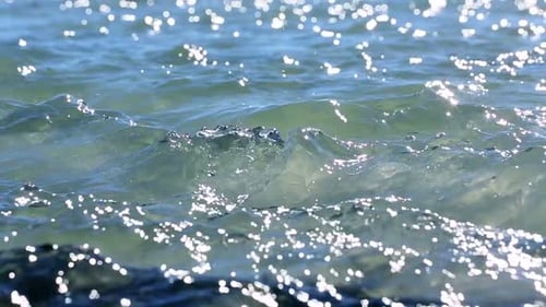 Sparkling Waves Gently Ripple on a Sunny Day