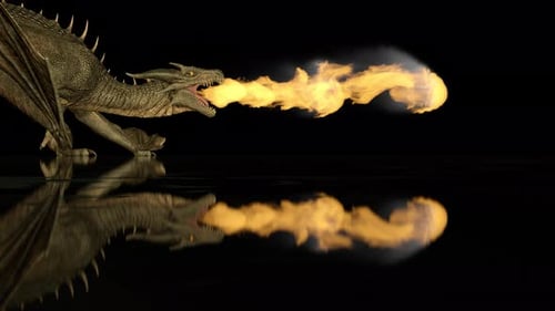 Realistic Dragon Breathes Fire on a Black Background on