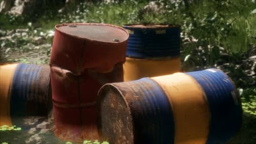 Rusty Barrels in Green Forest