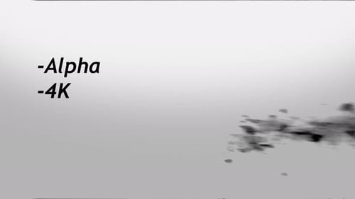 Zu den Schmutzladungen und Sand gehören Alpha