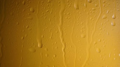 Cold Beer in a Glass Bottle with Dripping Condensation Drops