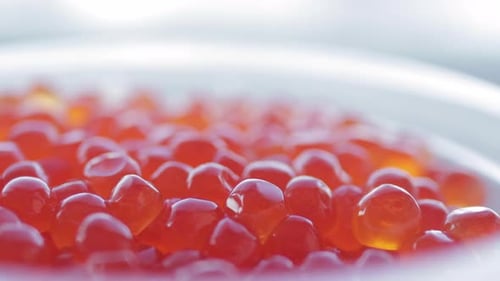 Jar with Grains of Red Caviar Slowly Rotates
