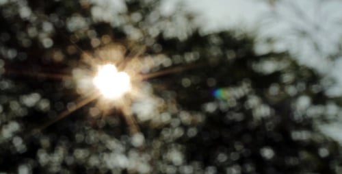 Sunshine Bokeh Slider Shot 3