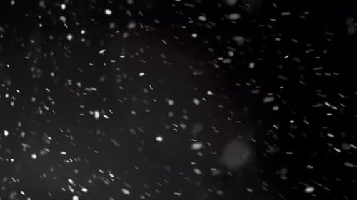 Schneit